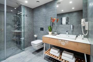 Представительский люкс в Отеле Hotel Aquarion Zakopane